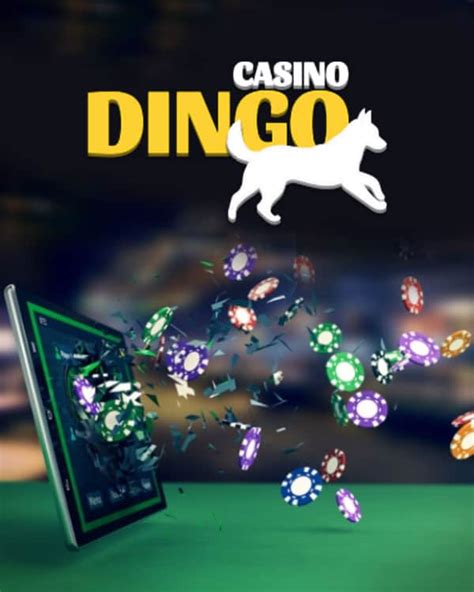 casino dingo